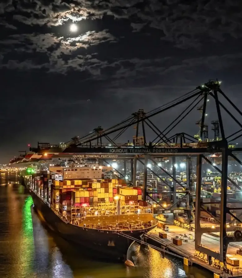 Buque portacontenedores siendo cargado de noche en una terminal portuaria
